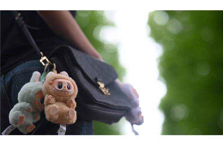 Ein 12-Jähriger aus Ingolstadt meldeten sein Labubu bei der Polizei als gestohlen. (Symbolbild)