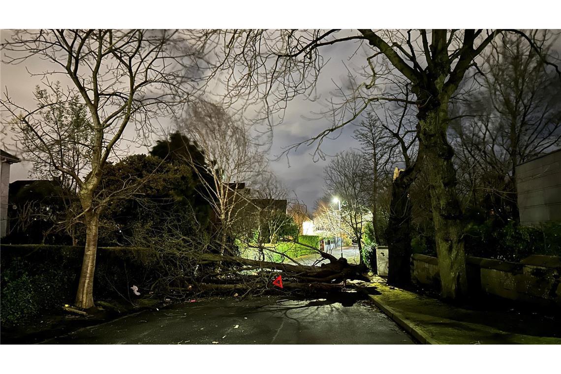 Ein abgebrochener Ast versperrt die Notting Hill Road in Süd-Belfast.