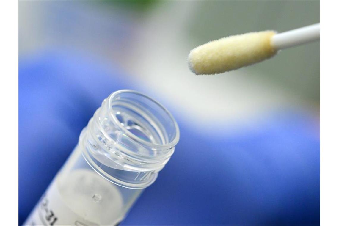 Corona-Ausbruch an Schule nach Zirkusaufführungen Ein Abstrich für das Testverfahren auf das Coronavirus. Foto: Sebastian Gollnow/dpa/Symbolbild