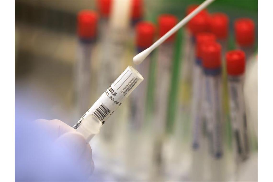 Corona-Inzidenz im Südwesten über 11 Ein Abstrich wird in einem Labor auf das Coronavirus untersucht. Foto: Oliver Berg/dpa/Symbolbild