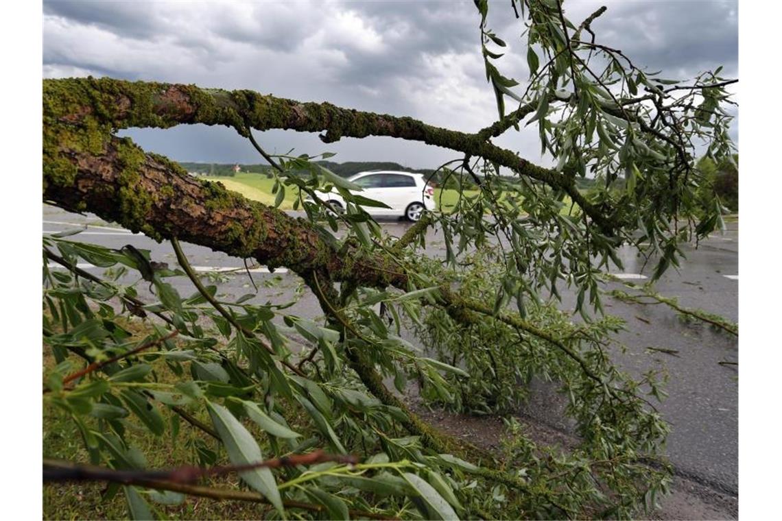 Heftige Gewitter über München Ein Auto fährt hinter einem vom Sturm umgeknickten Baum bei Biessenhofen im Ostallgäu. Foto: Karl-Josef Hildenbrand
