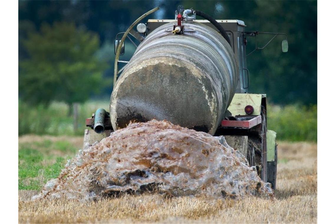 Länder wollen Nitrat-Messnetz überprüfen oder vergrößern Ein Bauer beim Ausbringen von Gülle auf einem Feld im Oderbruch. Foto: Patrick Pleul/zb/dpa