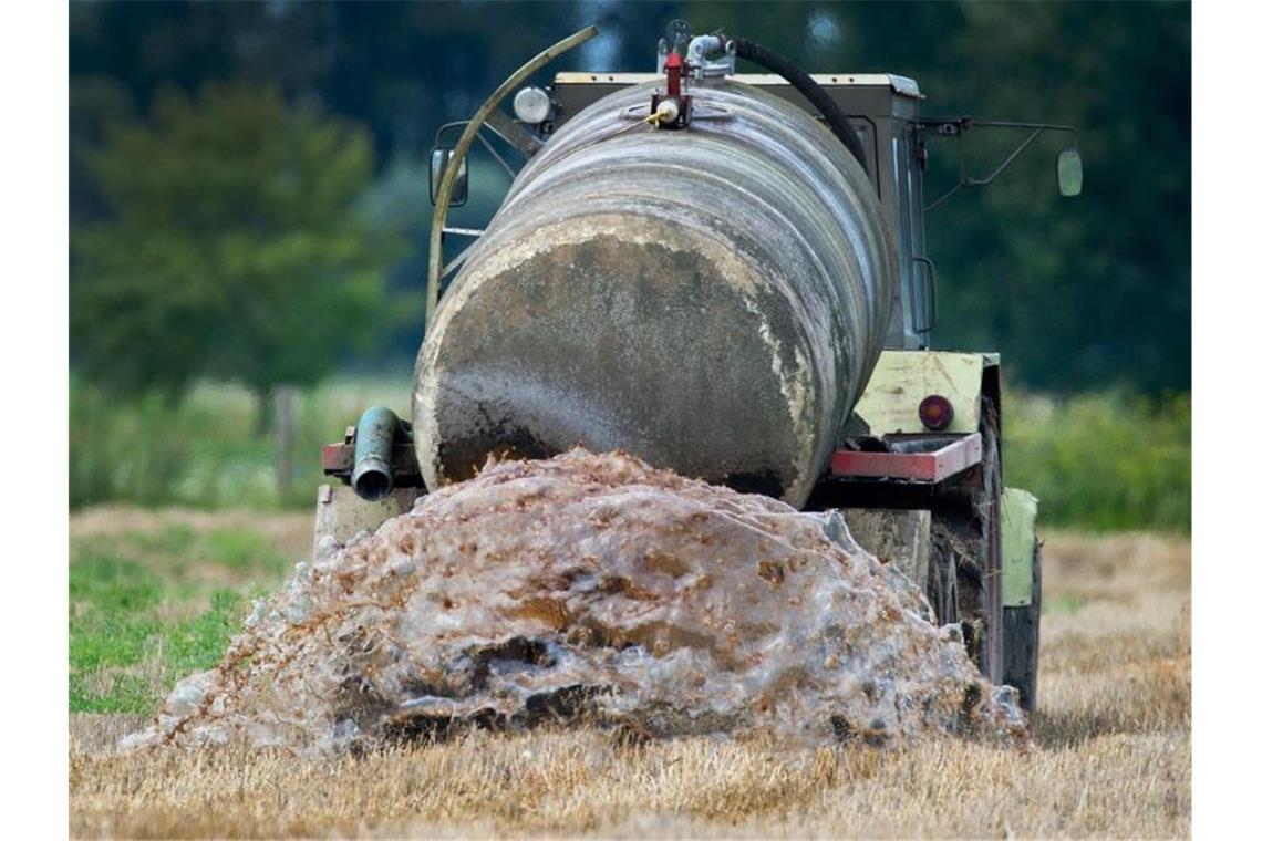 Ein Bauer beim Ausbringen von Gülle auf einem Feld im Oderbruch. Foto: Patrick Pleul/zb/dpa