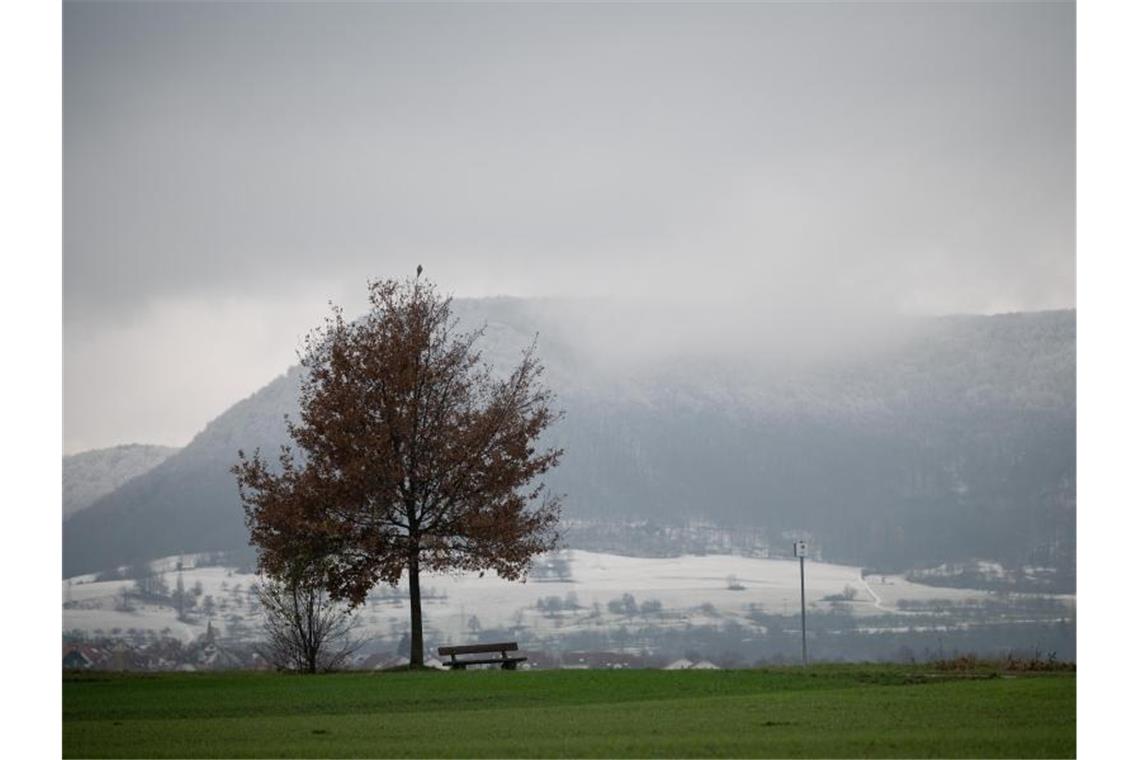 Ein Baum, an dem noch Laub hängt, steht vor der schneebedeckten Schwäbischen Alb. Foto: Sebastian Gollnow/dpa/Archivbild