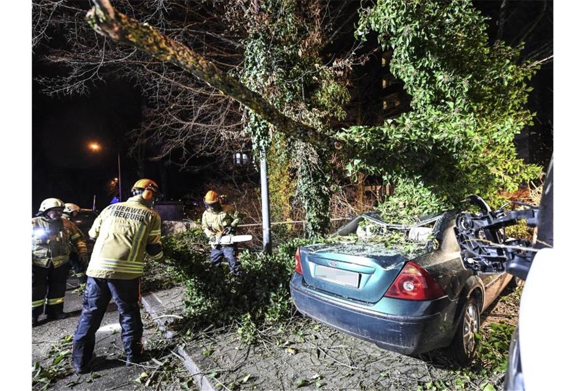 Baum kracht im Sturm auf Autodach: Ein Mensch verletzt