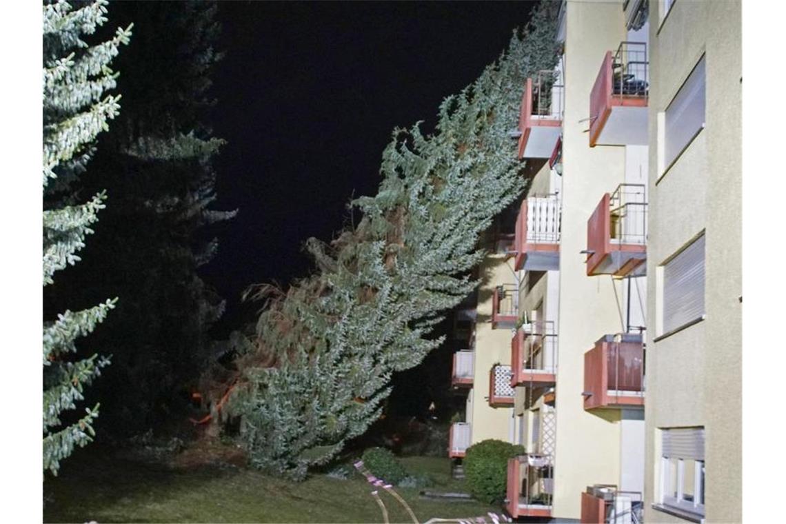 Ein Baum ist bei einem Sturm auf ein Haus gestürzt. Foto: Gress/SDMG/dpa