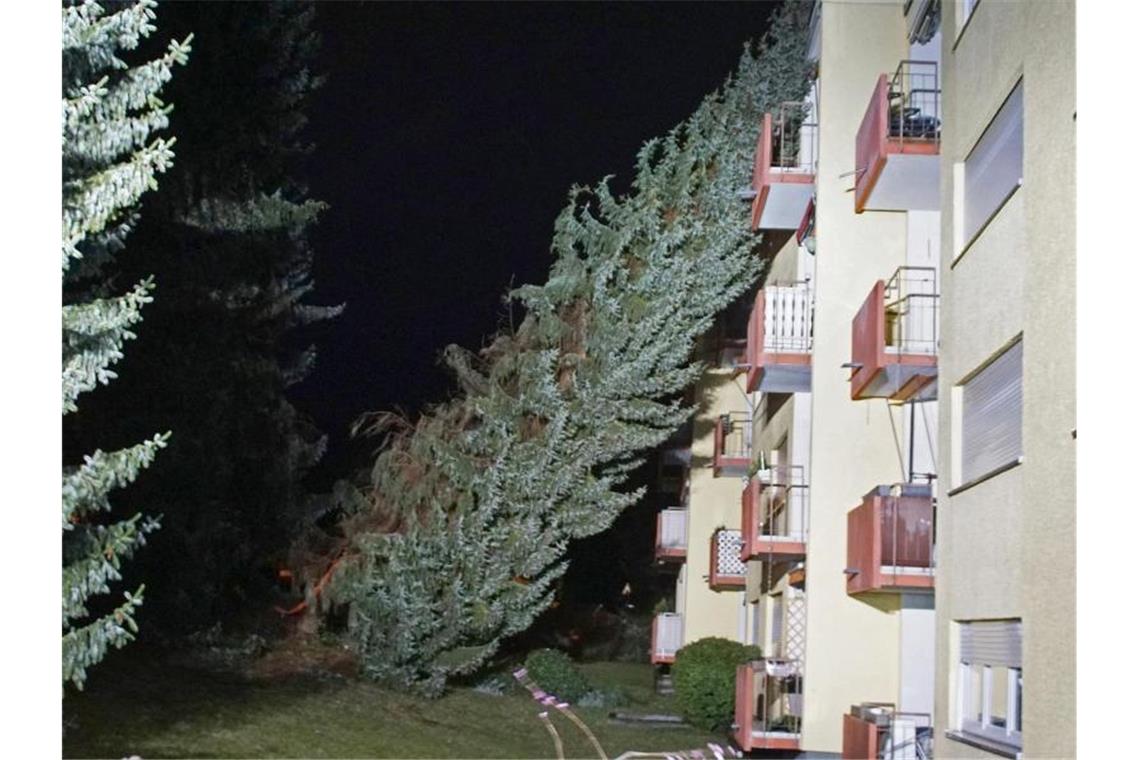 „Sabine“ sorgt beim Abschied weiter für Unruhe: 17 Verletzte Ein Baum ist bei einem Sturm auf ein Haus gestürzt. Foto: Gress/SDMG/dpa