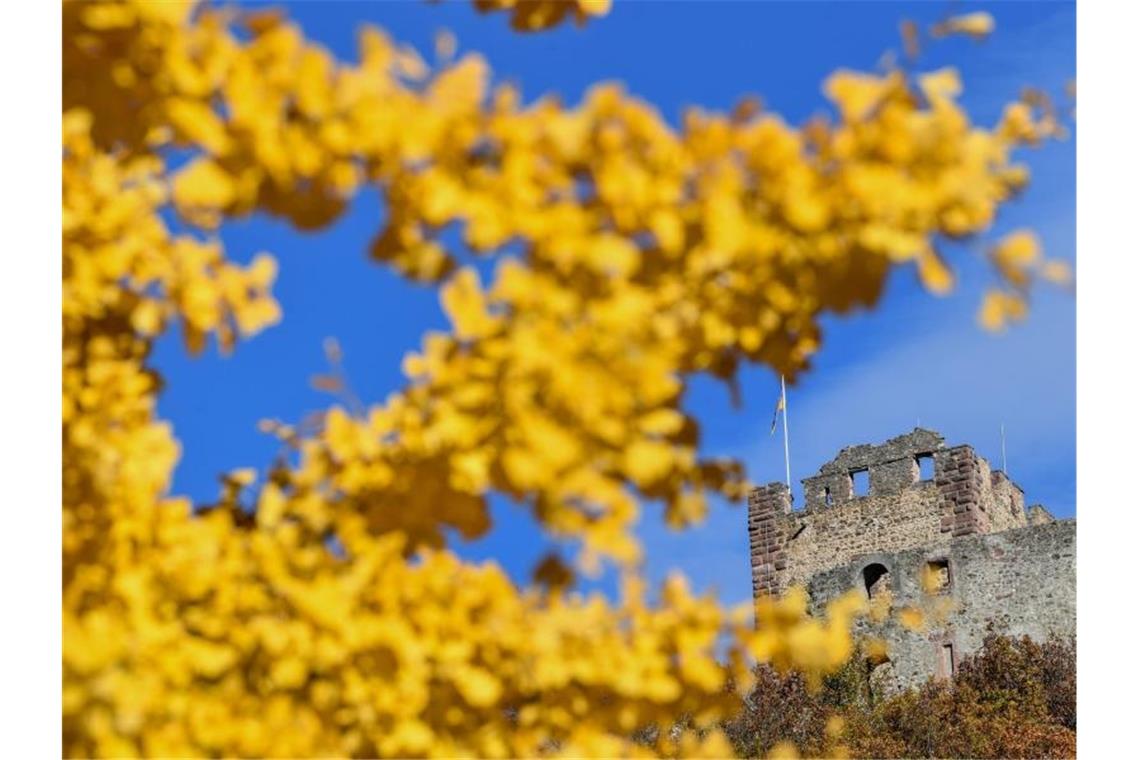 Ein Baum mit strahlend gelben Blättern steht vor der Kastelburg. Foto: Patrick Seeger/Archivbild