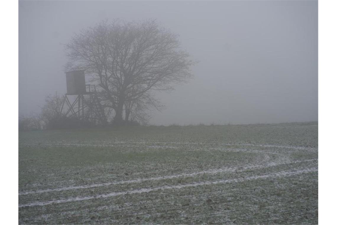 Leichter Schnee und gefrierender Regen in Baden-Württemberg