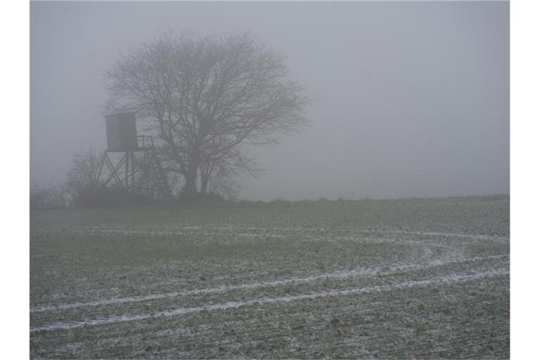 Ein Baum steht im Nebel auf einem Feld. Foto: Thomas Frey/dpa/Symbolbild