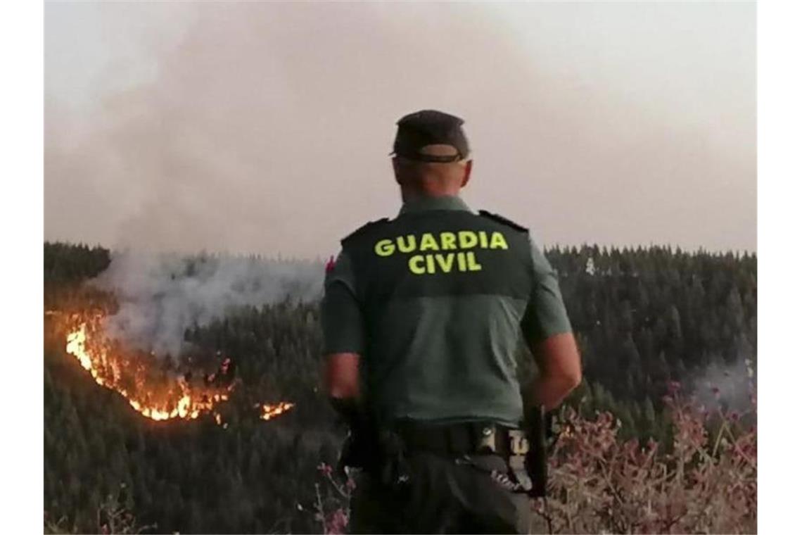 Schwerer Waldbrand in den Bergen von Gran Canaria Ein Beamter nimmt den Brand in Augenschein. Foto: Guardia Civil/AP