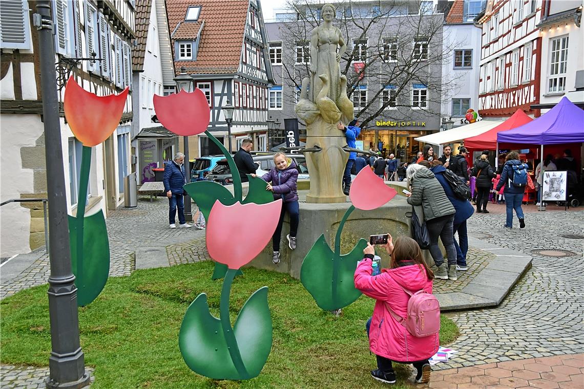 Ein beliebtes Fotomotiv waren die Tulpen am Gänsebrunnen.