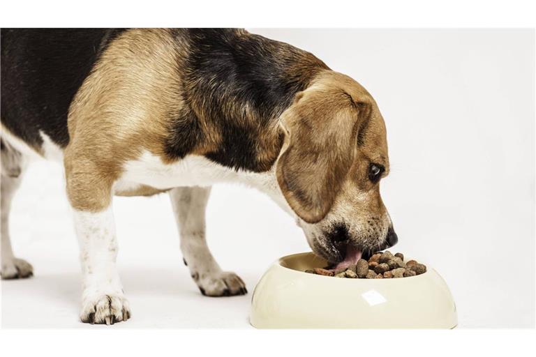 Hundefutter-Rückruf weitet sich aus Ein beliebtes Hundefutter kann Plastikteile enthalten.