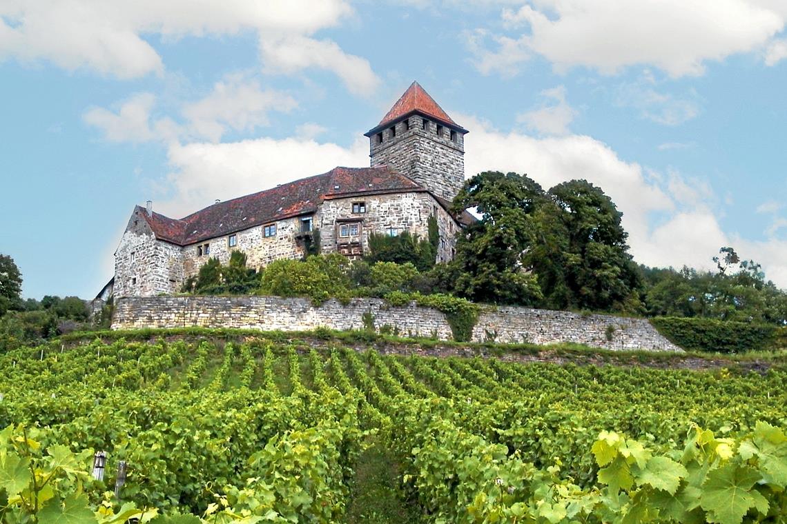 Ein Biergarten könnte direkt neben der Burg Lichtenberg auf der rechten Seite entstehen. Archivfoto: privat