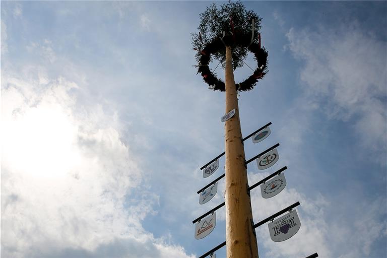 Ein Bild aus guten alten Zeiten: Ein Maibaum als Zeichen des Frühlings, so wie das Prachtexemplar des Heimatvereins Allmersbach am Weinberg. Dieses Jahr fallen alle Feste aus. Foto: A. Becher