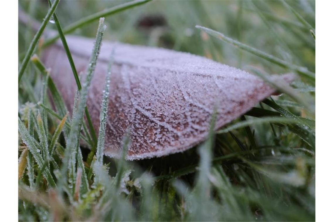 Ein Blatt auf einem Rasen ist bei kaltem und trpckenem Wetter mit Raureif bedeckt. Foto: Martin Gerten/dpa/Archivbild