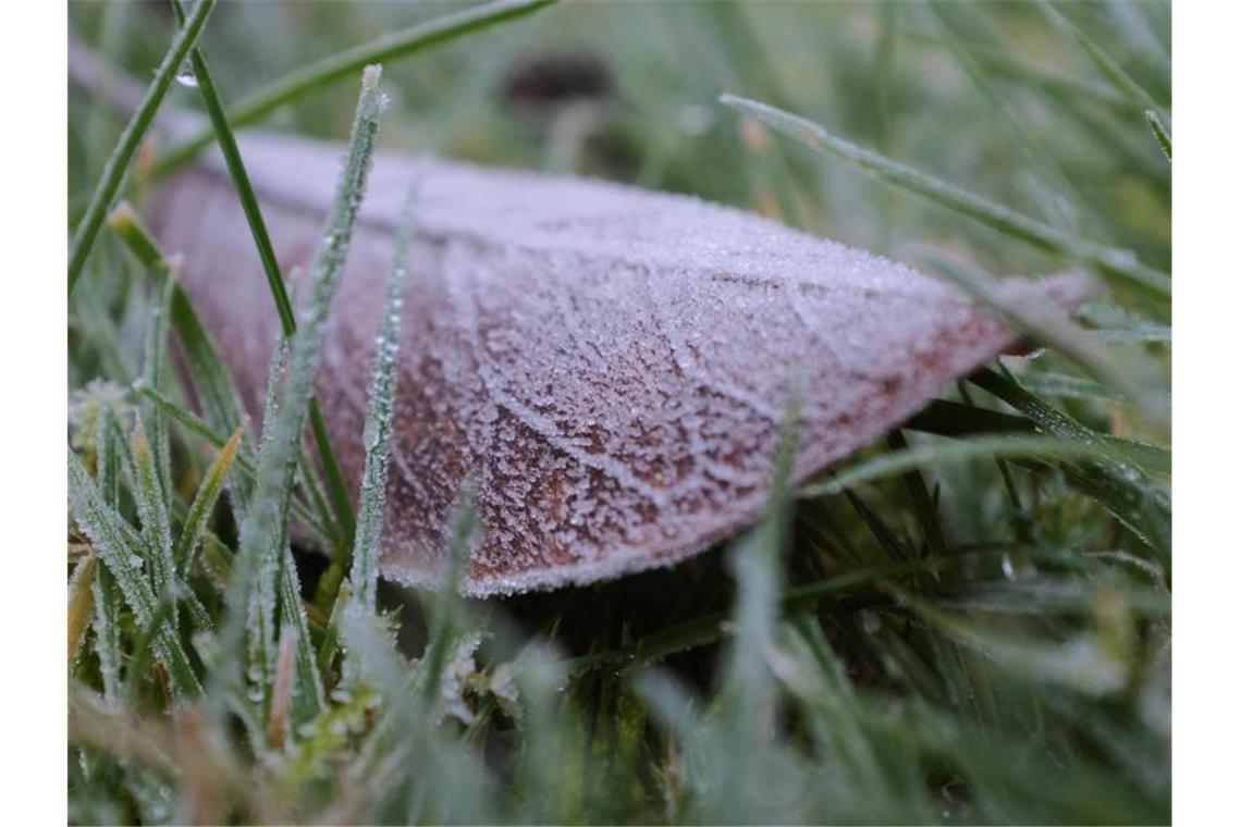 Ein Blatt auf einem Rasen ist mit Raureif bedeckt. Foto: Martin Gerten/dpa/Archivbild