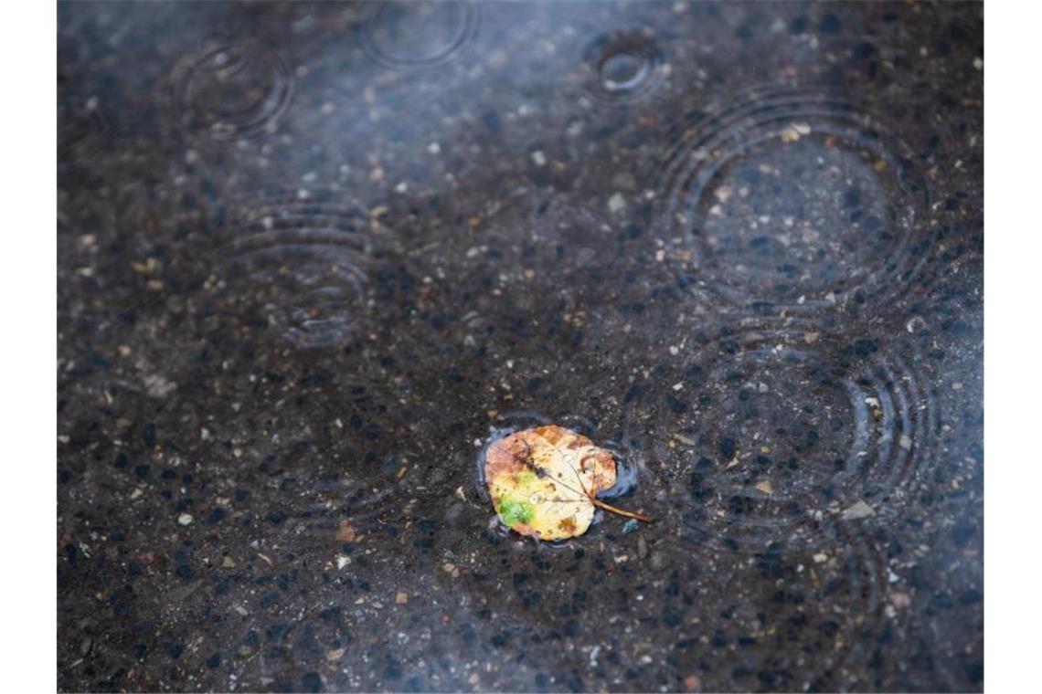 Ein Blatt liegt bei leichtem Regen in einer Pfütze. . Foto: Tom Weller/dpa