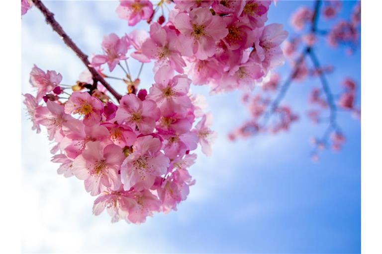 Ein Blick auf die aktuellen Prognosen zeigt, wann Sonne und milde Temperaturen zurückkehren. Erfahren Sie, wann das Wetter wieder besser wird.