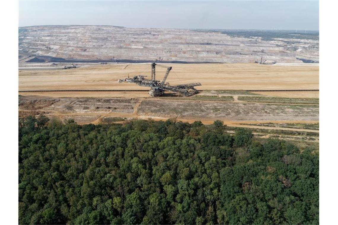 Ein Braunkohlebagger steht im Tagebau Hambach. Im Vordergrund ist der Hambacher Wald zu sehen. Foto: Henning Kaiser/dpa