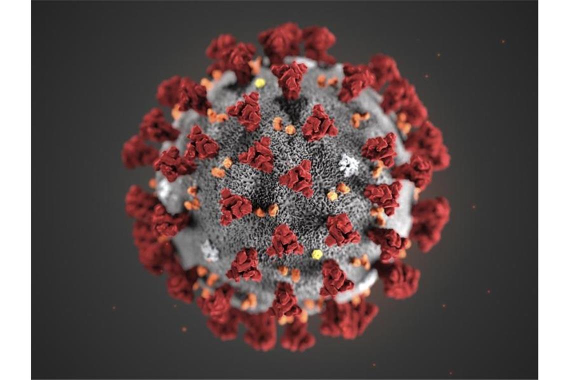 Ein Computermodell des Coronavirus 2019-nCoV. Foto: Uncredited/Centers for Disease Control and Prevention/AP/dpa