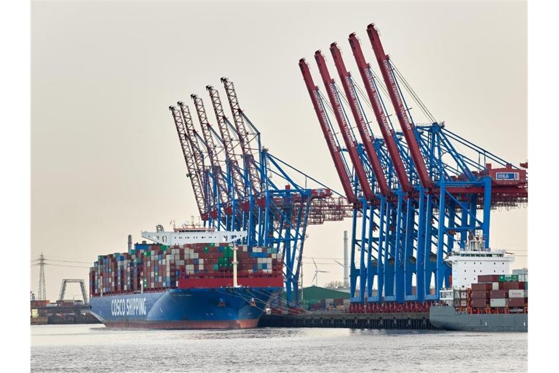 Industrie erwartet positive Auftragsentwicklung Ein Containerschiff liegt am Containerterminal Tollerort. Foto: Georg Wendt/dpa