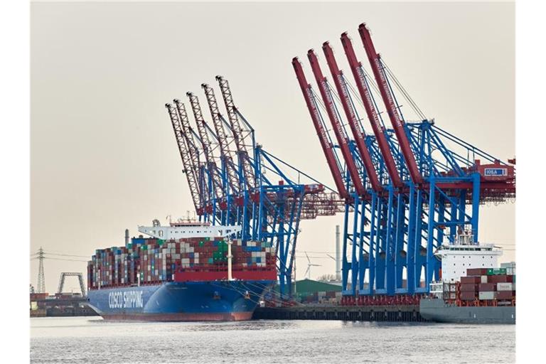 Ein Containerschiff liegt im Hamburger Hafen. Foto: Georg Wendt/dpa