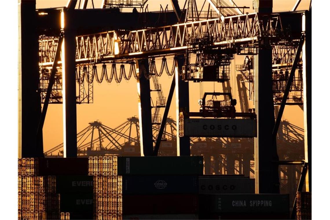 Ein Containerschiff wird im Hamburger Hafen entladen. Foto: Christian Charisius/dpa