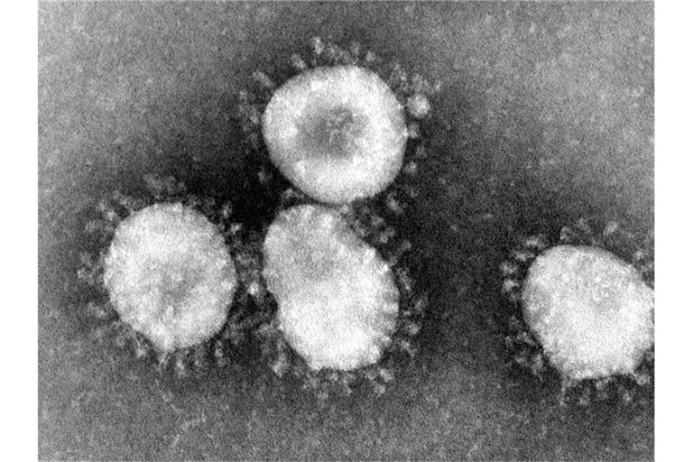 Ein Coronavirus unter dem Mikroskop. Foto: Center for Disease Control/epa/dpa/Archivbild