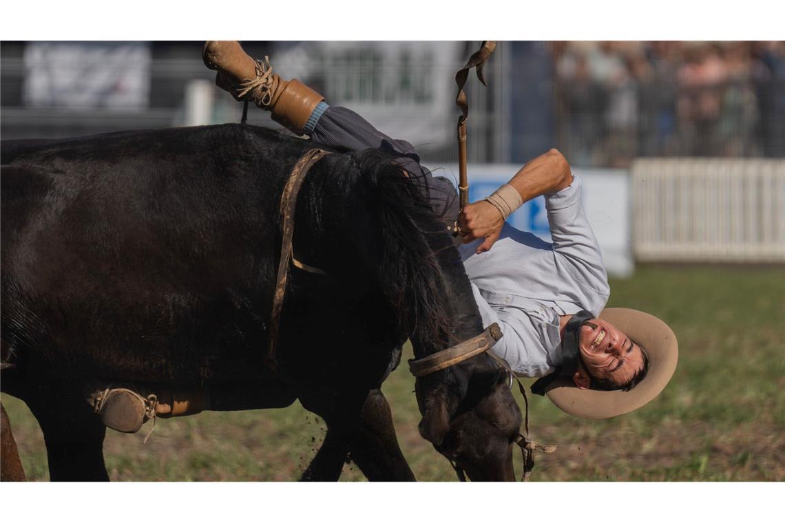 Ein Cowboy wird während eines Rodeofestivals vom Pferd gestoßen.