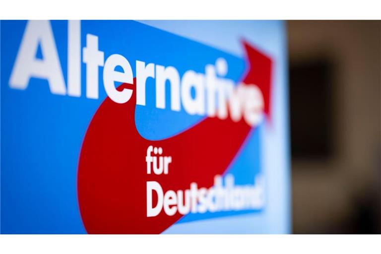 Ein Datenleck mit Hunderttausenden E-Mails versetzt die AfD in Unruhe.