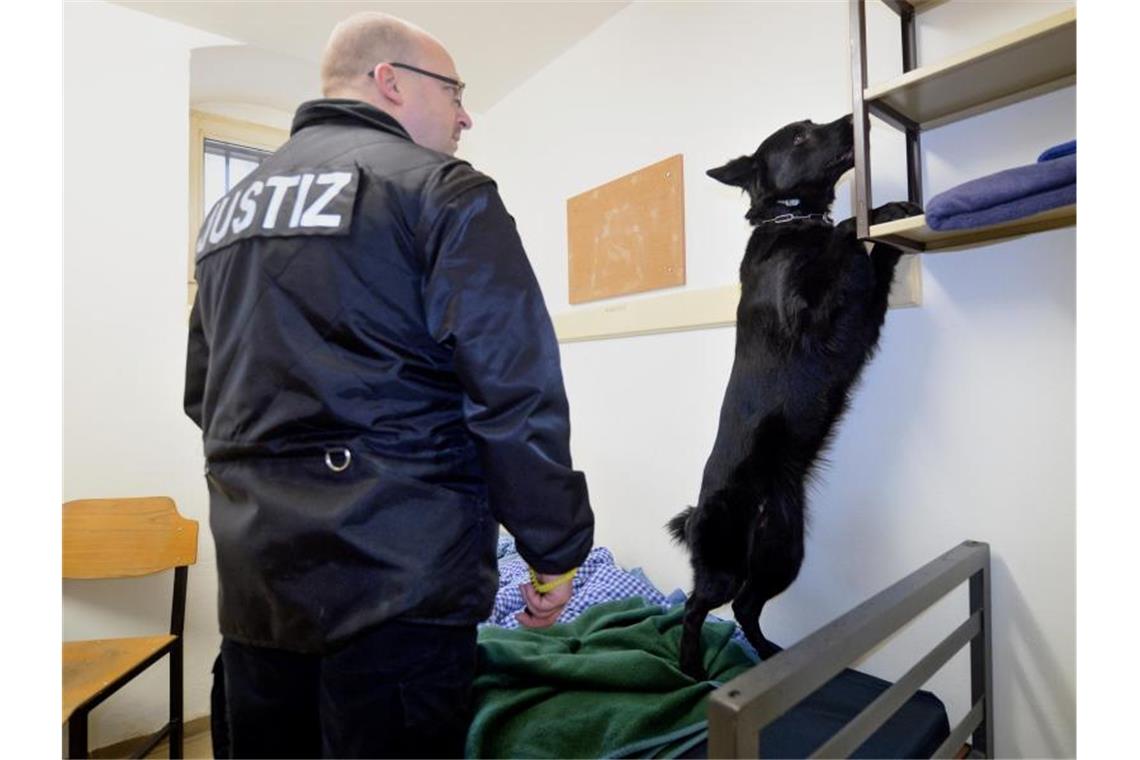 Ein Diensthundeführer lässt einen Spürhund eine Gefängniszelle nach einem Handy absuchen. Foto: Hendrik Schmidt/dpa/Archivbild