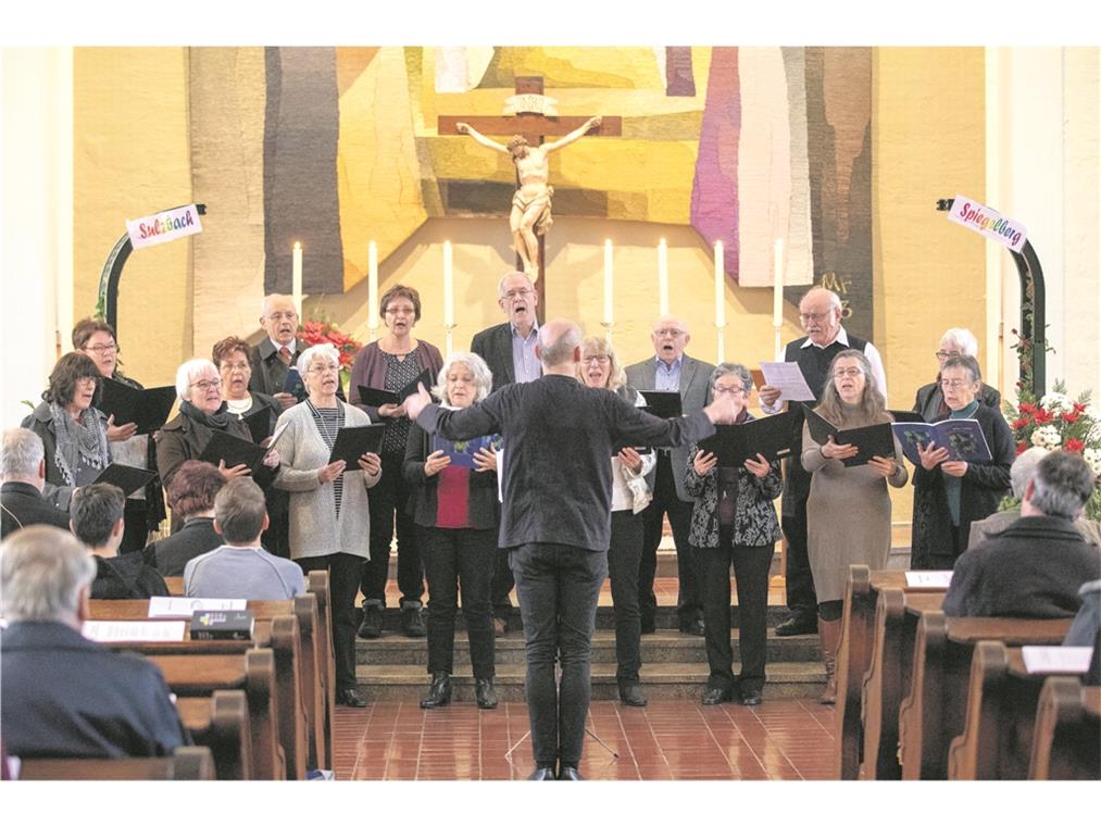 Unter einem gemeinsamen Bogen Ein eigens gebildeter Projektchor begleitet neben Orgel und Posaunenchor den Fusionsgottesdienst in Spiegelberg. Foto: A. Becher