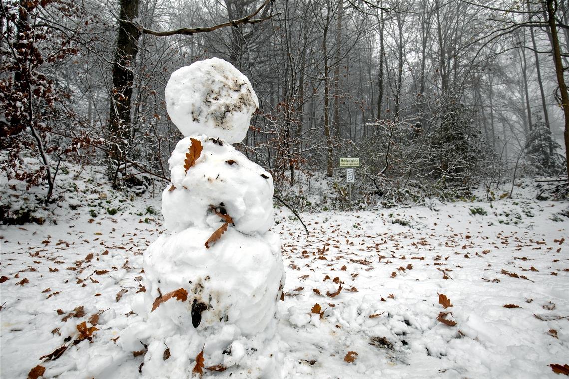 Ein einsamer Schneemann auf einem Waldparkplatz bei Kallenberg: Der winterliche Geselle muss das Werk eines Frühaufstehers gewesen sein. Fotos: A. Becher