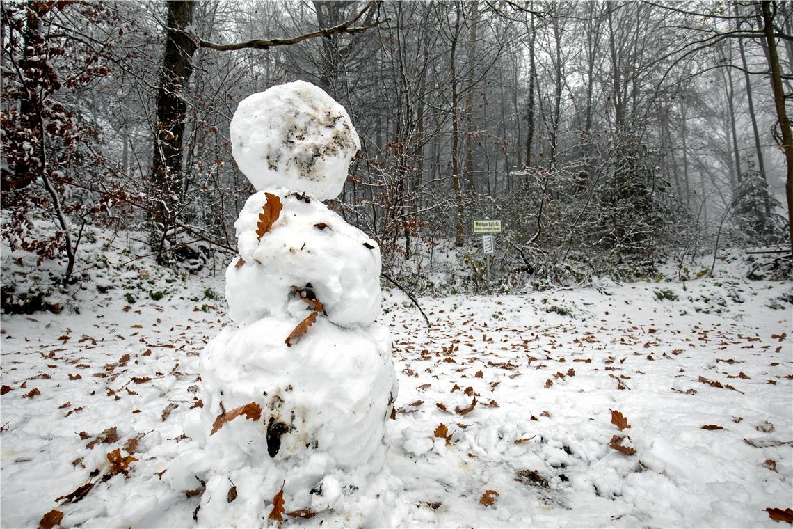 Erste Schneefreuden des Winters Ein einsamer Schneemann auf einem Waldparkplatz bei Kallenberg: Der winterliche Geselle muss das Werk eines Frühaufstehers gewesen sein. Fotos: A. Becher