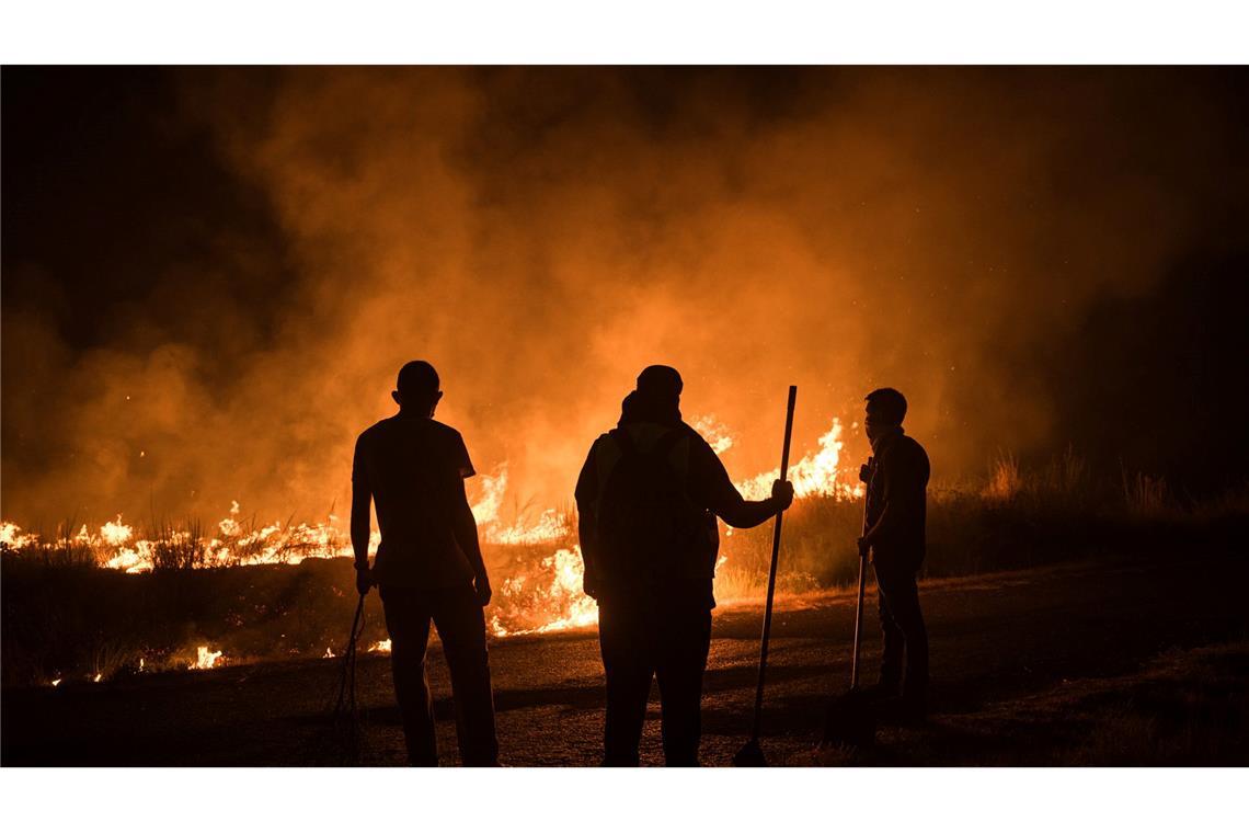 Feuer-"Tsunami" - Spaniens Regierungschef unterbricht Urlaub Ein Einsatzleiter sprach von einem wahren Feuer-"Tsunami".