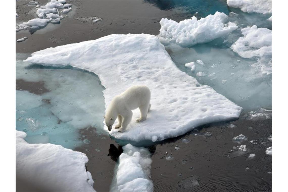 Ein Eisbär steht im Nordpolarmeer auf einer Eisscholle. Das Meereis in der Arktis ist auf die zweitniedrigste Ausdehnung seit Beginn der Messungen vor rund 40 Jahren geschrumpft. Foto: Ulf Mauder/dpa