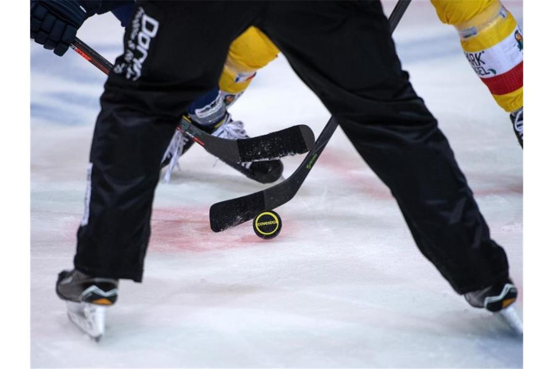 Ein Eishockey-Spiel. Foto: Bernd Thissen/dpa/Symbolbild