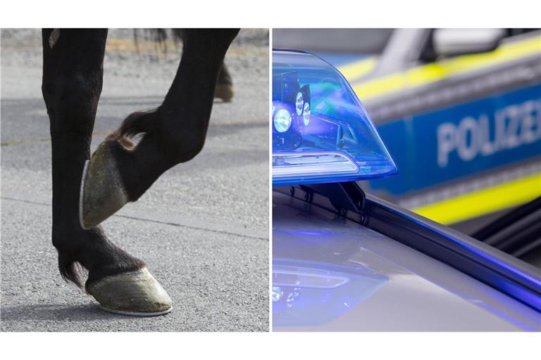 Ein entlaufenes Pferd hat am Freitagvormittag für eine Vollsperrung gesorgt (Symbolfotos).