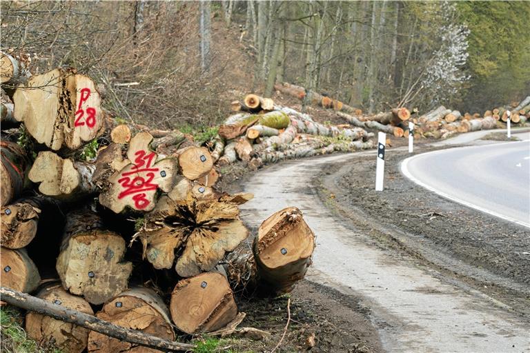 Ein erschreckendes Bild: Baumstämme über Baumstämme am Rand der Kreisstraße zwischen Kirchberger Bahnhof und Neuhof. Foto: A. Becher