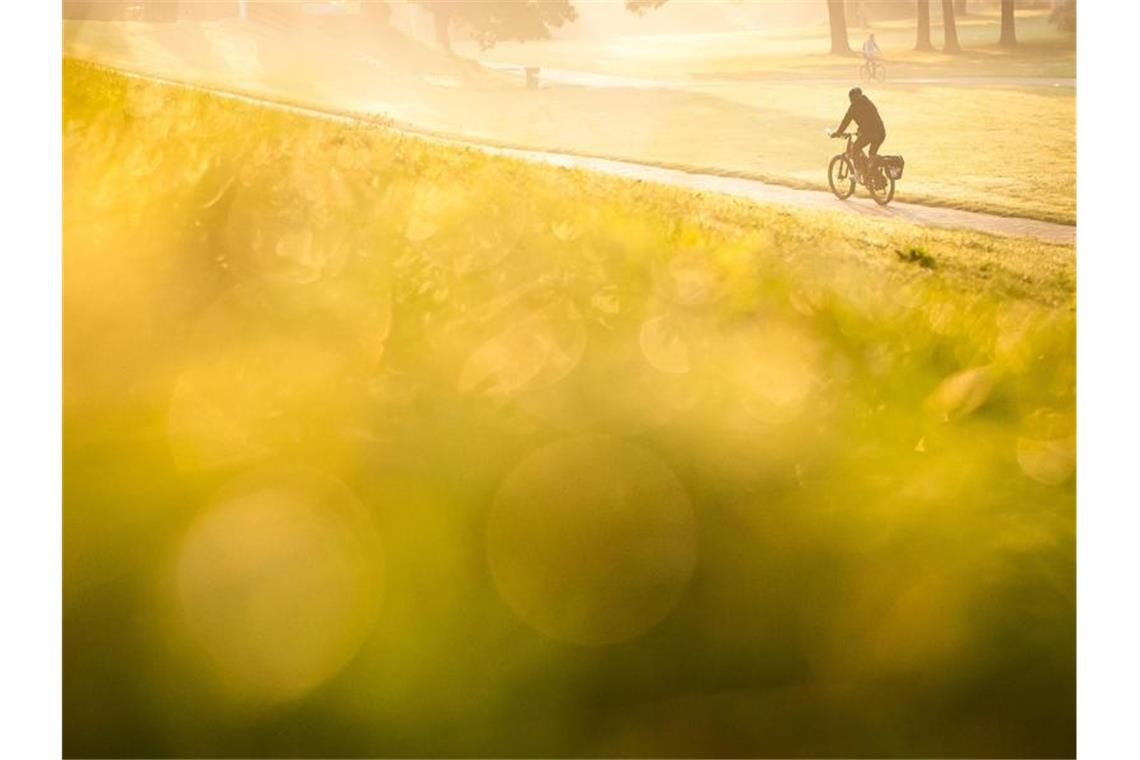 Zweiräder im Norden am beliebtesten - Fahrradteile knapp Ein Fahrradfahrer fährt am frühen Morgen über den Osterdeich in Bremen. Foto: Sina Schuldt/dpa