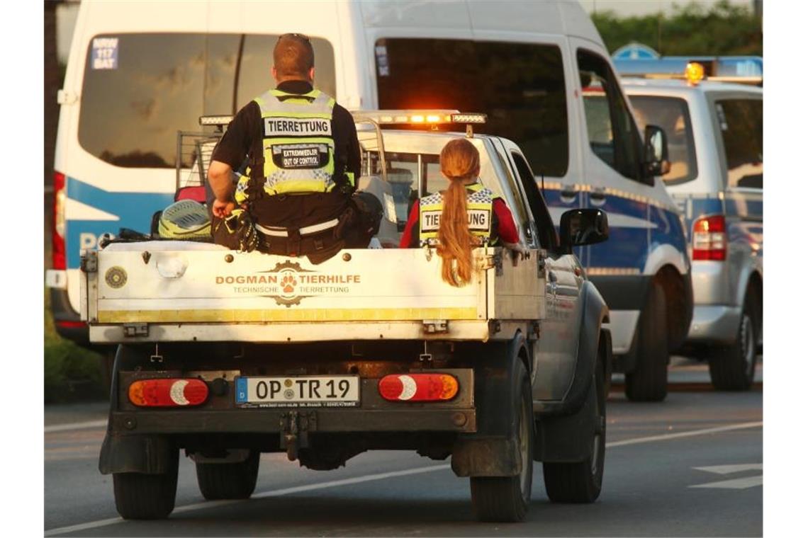 Tierheim kümmert sich nach Flut um viele Tiere Ein Fahrzeug mit Tierrettern und Tieren verlässt Erftstadt in Nordrhein-Westfalen. Nach der Flutkatastrophe werden viele Tiere ins Tierheim gebracht. Foto: David Young/dpa