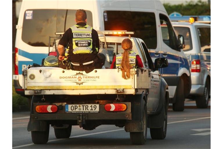 Ein Fahrzeug mit Tierrettern und Tieren verlässt Erftstadt in Nordrhein-Westfalen. Nach der Flutkatastrophe werden viele Tiere ins Tierheim gebracht. Foto: David Young/dpa