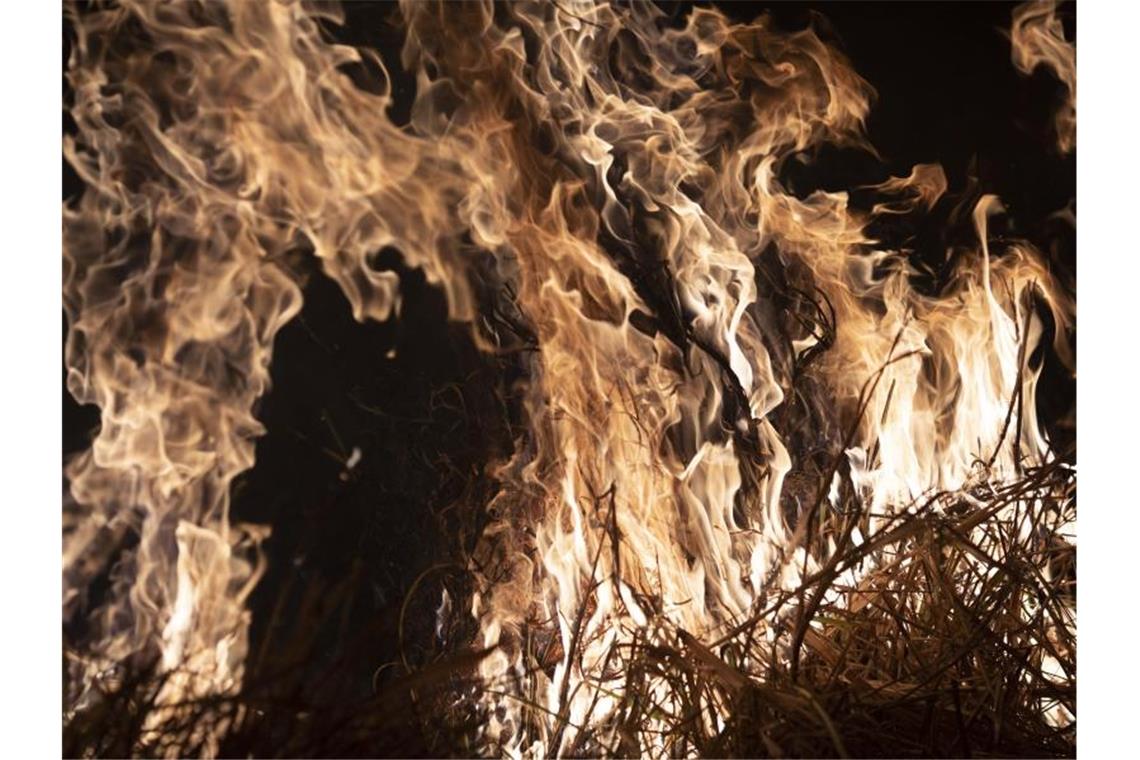 Ein Feuer lodert im Bezirk Santa Helena im Bundesstaat Mato Grosso. Foto: Leo Correa/AP