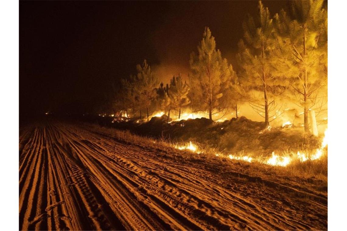Brände in Argentinien: Gouverneur bittet USA um Hilfe Ein Feuer wütet in einem Wald in der Nähe von Ituzaingo, in der Provinz Corrientes. Foto: Rodrigo Abd/AP/dpa