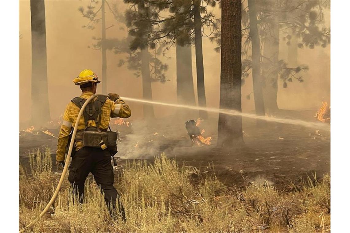 Ein Feuerwehrmann aus Los Angeles County benutzt einen Schlauch, um die Flammen des Caldor-Feuers zu löschen. Foto: Elias Funez/The Union via AP/dpa