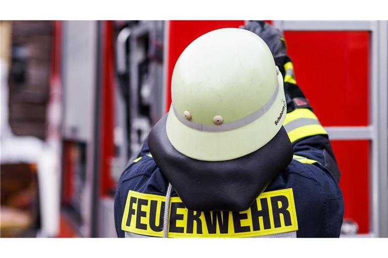 Ein Feuerwehrmann holt während einer Einsatzübung einer Freiwilligen Feuerwehr eine Leiter vom Dach eines Einsatzfahrzeugs. (zu dpa: «Feuerwehr rettet Pferd mit Spezialgeschirr aus Güllegrube»)