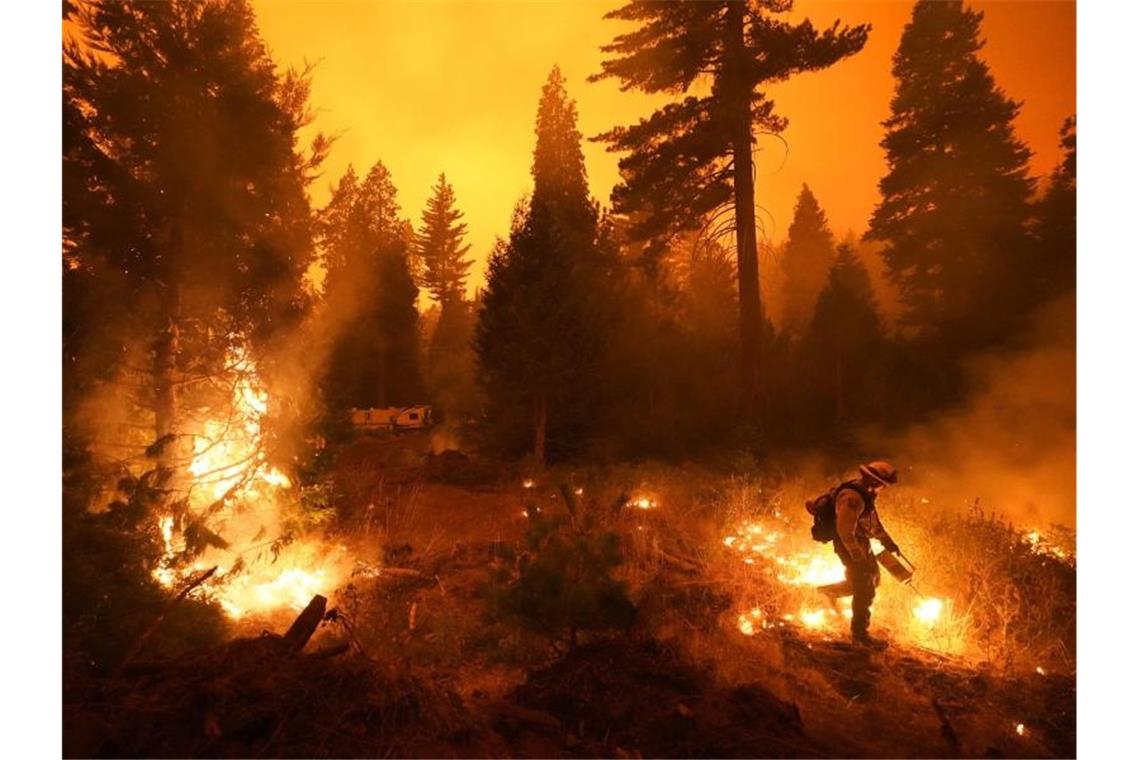 Ein Feuerwehrmann ist bei einem Waldbrand im Einsatz. Rasch um sich greifende Waldbrände haben Teile Kaliforniens in eine Feuerhölle verwandelt. Foto: Marcio Jose Sanchez/AP/dpa