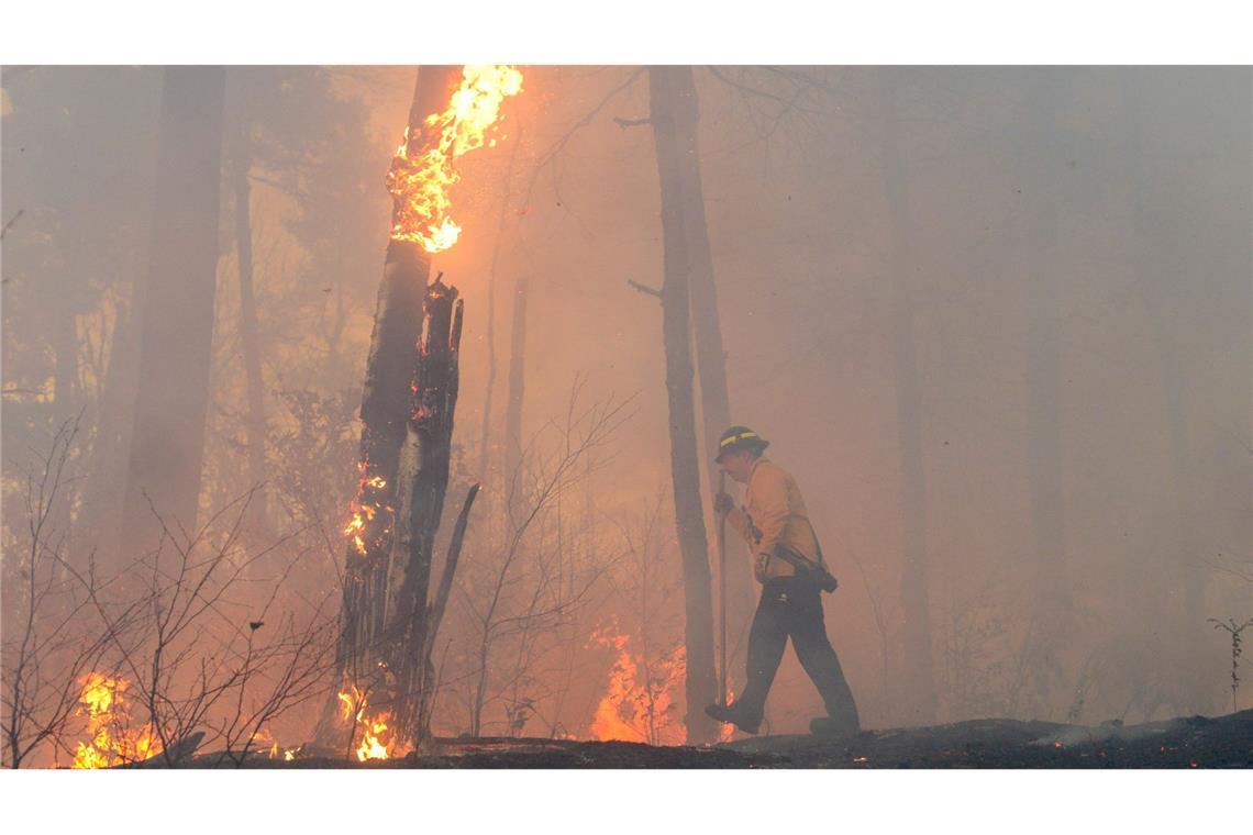 Bilder des Tages Ein Feuerwehrmann kämpft gegen ein Buschfeuer im US-Bundesstaat Vermont. Es wurde möglicherweise durch eine umgestürzte Stromleitung ausgelöst.