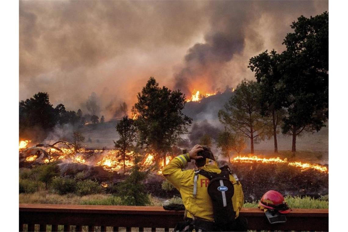 Ein Feuerwehrmann schaut auf das Feuer vor sich. Foto: Noah Berger/FR34727 AP/dpa